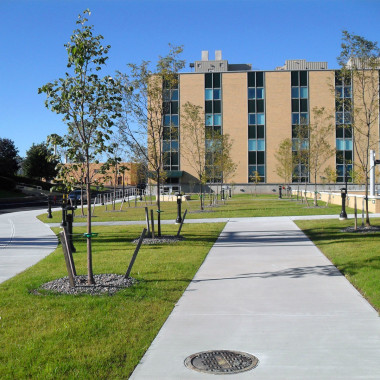 Bristol Myers Squibb