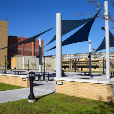 Bristol Myers Squibb