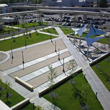 Bristol Myers Squibb- birdsview