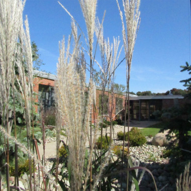 Tailwater Lodge - walk landscaping front